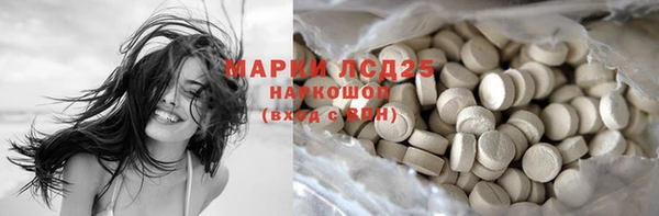 прущие грибы Абдулино