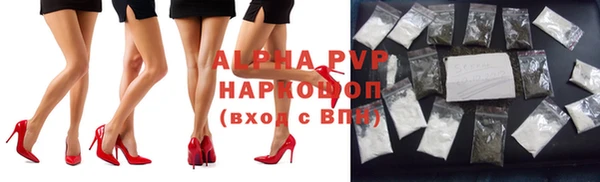 прущие грибы Абдулино