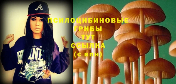прущие грибы Абдулино